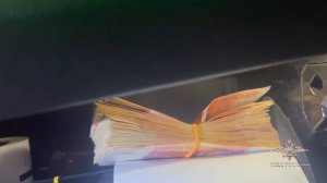 Полицейские задержали подозреваемого в неправомерном обороте платежей на сумму более 113 млн рублей