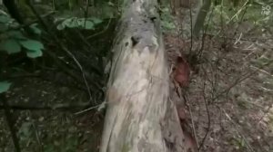 Поездка в монастырь Оптина Пустынь (22.08.2020)