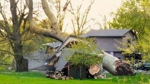 #136 Я РЖАЛ ДО СЛЕЗ 😂 ПОДНИМИ СЕБЕ НАСТРОЕНИЕ😆😆😆ЛУЧШИЕ ЛЮТЫЕ ПРИКОЛЫ / АКАДЕМИЯ ЮМОРА