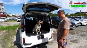 Очередные авто из Японии нашим заказчикам.