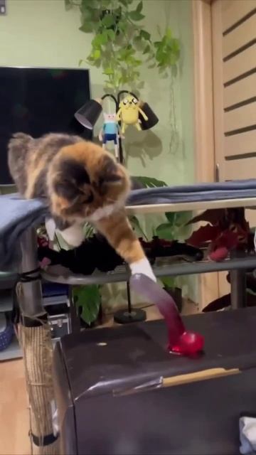 Когда меня спрашивают, чем я в основном занимаюсь на работе 🤣😅😅