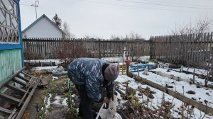 Украли все ! Нечем топить... // Прикапываем растения