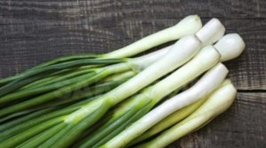 лук всходит как надо.