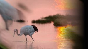 Kirk Monteux - Passion