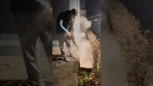 За 1 час намыл 1 кг чистого золота. Боярышник Сливолистный