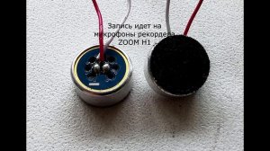 Тест микрофонов ZOOM H1 и Savetek GS-06