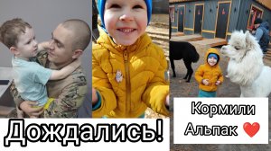 Брат Вернулся из Армии 🥳| У Семёна Скарлатина 😐 | Посетили Парк Альпак🦙