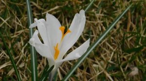 ВИДЕО ПВН  АВ   (39)