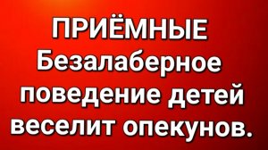 Приёмные/Обзор.