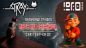 STRAY получение трофея Кота не догонишь | Can't Cat-ch Me PS4/PS5/XBOX