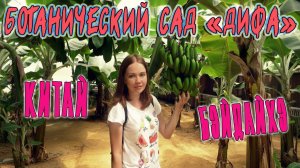 КИТАЙ. БОТАНИЧЕСКИЙ САД "ДИФА" В БЭЙДАЙХЭ