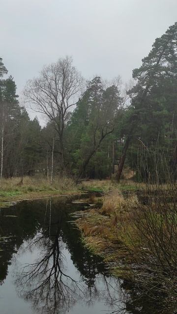 Осень смотреть онлайн