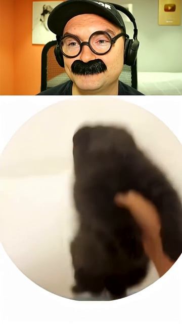 Котик притворился мертвым смотреть онлайн