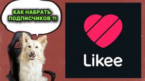 Как набрать просмотры и подписчиков в Likee 🐾🤓 #обучение #лайк #блог #блогинг #соцсети #likee