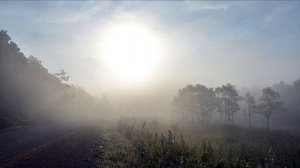 ИГОРЬ ПШЕНИЧНЫХ. Это нежный апрель.