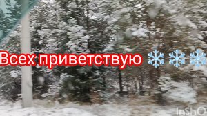 ТОРТИК/ 4000 тысячи зрителей/ КРАБОВЫЙ САЛАТ/ За водой и в магазин/