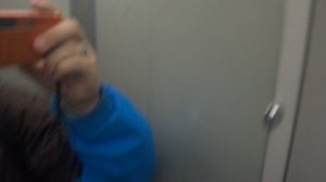 Пассажирский лифт (Деревня Чёрное), V=1 м-с, г-п 400 кг (3)