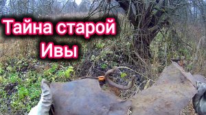 Старая Ива раскрыла тайны:От обломков самовара до древних чугунков