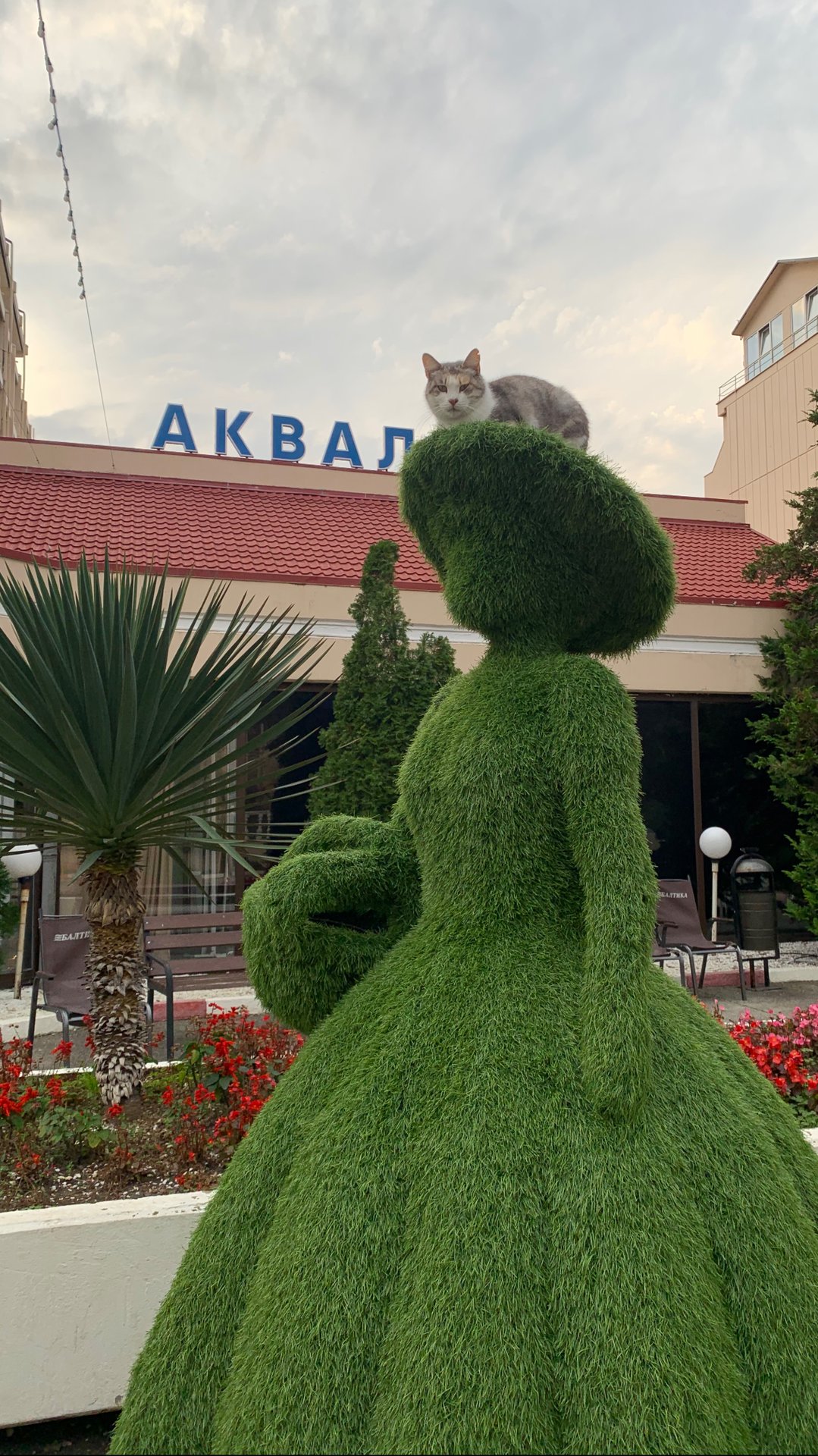 Мой восьмой день в санатории Аквалоо г. Сочи смотреть онлайн