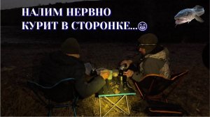 Два вечера в поисках налима....
