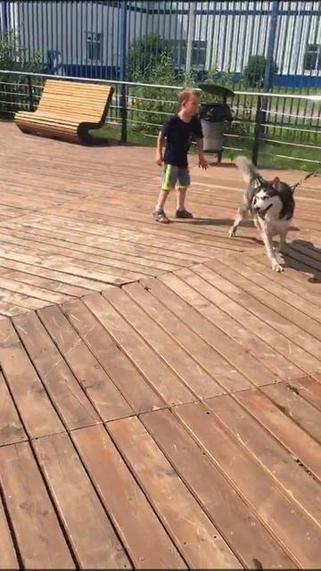 Милу. Видео к вебинару Что пошло не так?