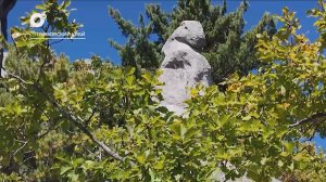 Разведка блогом / 11.11.25