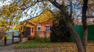 Яркие краски ноября. Курск.