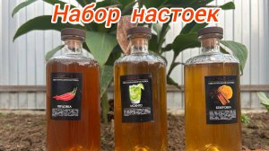 Настойки из подарочного набора