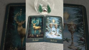 Скорпионы ♏ что принесет 2026 год🌨️🎄