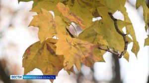 Осенняя хандра: вологжанам рассказали, как бороться с апатией в тёмное время года