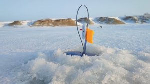 Рыбалка которую запомнишь на всё жизнь\ Ловля щуки на щерлицы