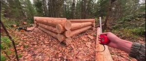 ЖИВУ КРУГЛЫЙ ГОД В ТАЙГЕ. РУБЛЮ ЗИМОВЬЕ В ДИКОМ СТИЛЕ. НОЧЬ В ИЗБЕ. ЗАМОРОЗКИ.
