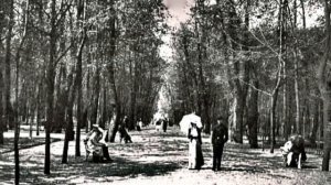 ДАМЫ ИМПЕРСКОГО ПЕТЕРБУРГА