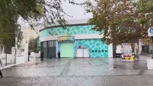 ОДЕССА 11 НОЯБРЯ 2025. ОТКАЗ ОТ СЛОВ РУСНЯ И ОРКИ! БРАТЬ ЛИ ТЫСЯЧУ ОТ ЗЕЛЕНСКОГО_ ТОПЛИВО ПОДОРОЖАЕТ