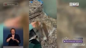 Телеканал «ОТР», программа «Новости», 10.11.2025