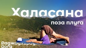 Халасана  / Поза плуга (Техника выполнения асаны раджадхираджа йоги)