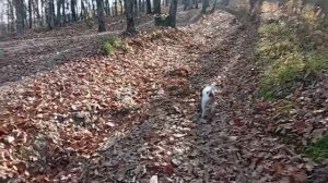 смотровая на горе Ключевой (Горячий ключ)