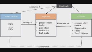 Мясо и болезни сердца: генетический «детектив» отменяет приговор?
