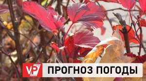 ПРОГНОЗ ПОГОДЫ ПО ВОЛГОГРАДУ И ОБЛАСТИ С 12 ПО 18 НОЯБРЯ