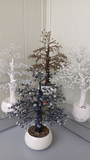 Настольные деревья. Мини садик. https://t.me/minigardenZ