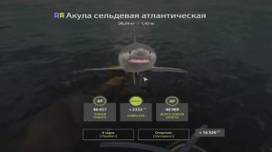 Русская рыбалка 4. Норвежское море