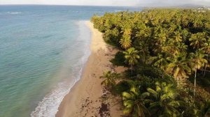 Сиречь - Жестокое лето