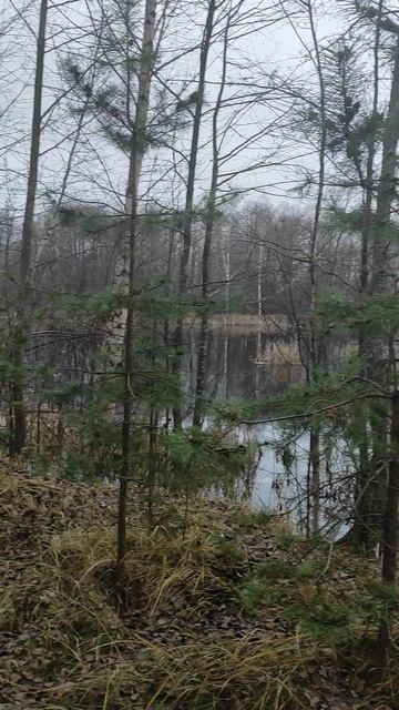 Осень смотреть онлайн