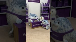 ТЮЛЕНИ ВЕЗДЕ 4 ЧАСТЬ Артикул на ВБ: 193431345 #тюлень #тюлени #игрушки #мягкиеигрушки #sora #прикол