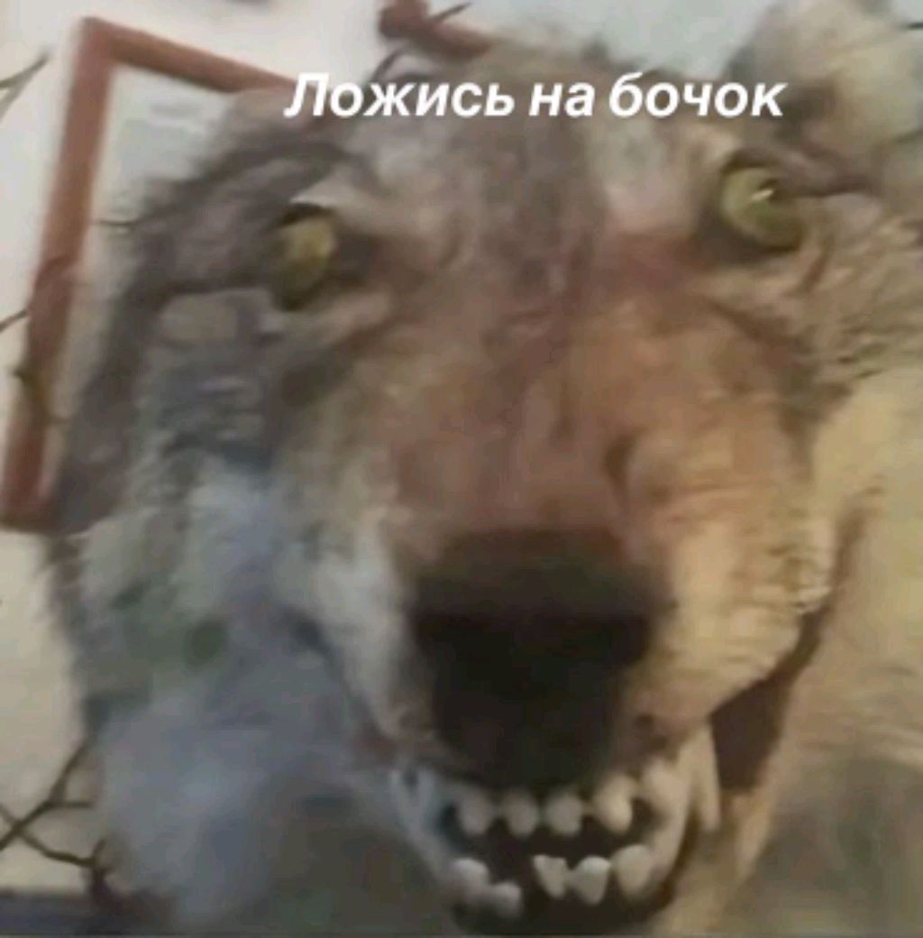 вб смотреть онлайн