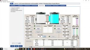Простая диффузия-Физиоэксп_9