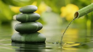 Гаряев-Матрицы.РФ__Ваша исключительная медитация- Что чувствуется то чувствуется, что думается т