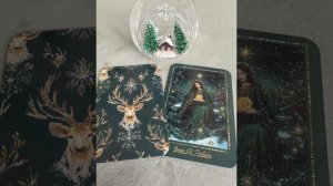 Тельцы ♉ что принесет 2026 год🌨️🎄