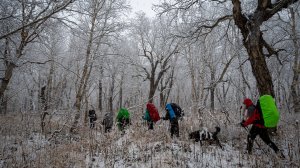 Налычево_3 Таловский кордон, Вулкан Дзендзур, Как ходить в поход