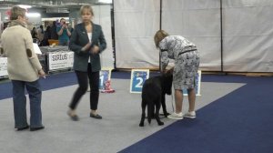 Шер Царица Клеопатра из Новой Империи